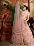Pearl White Work Geometric Sheer Ghagra Set