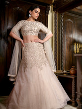 Cutdana Sequins Floral Sheer Ghagra Set