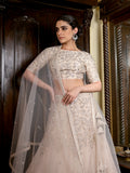 Cutdana Sequins Floral Sheer Ghagra Set