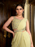 Cutdana Pearl Sheer Stitched Saree