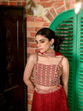 Zardosi Crushed Ghagra Set