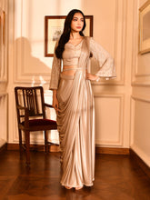 Cutdana Sequins Shimmer Stitched Saree