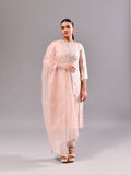 Silver Cutdana Straight Suit Set