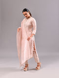 Silver Cutdana Straight Suit Set